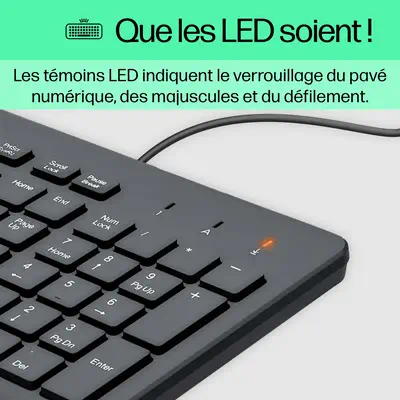 HP 150 WD KBD FR clavier Universel USB HP - visuel 1 - hello RSE - Couverture qui offre une tranquillité d'esprit