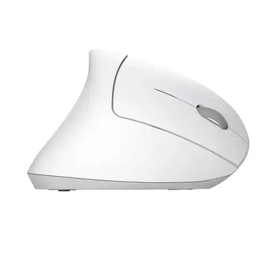Trust Verto souris Bureau Droitier RF sans fil Optique 1600 DPI - Souris - visuel 7