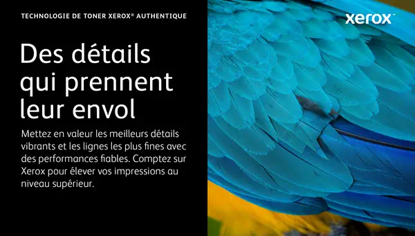 Cartouche de toner Cyan de Grande capacité Xerox Imprimante couleur multifonctions Xerox® VersaLink® - Toner - visuel 5