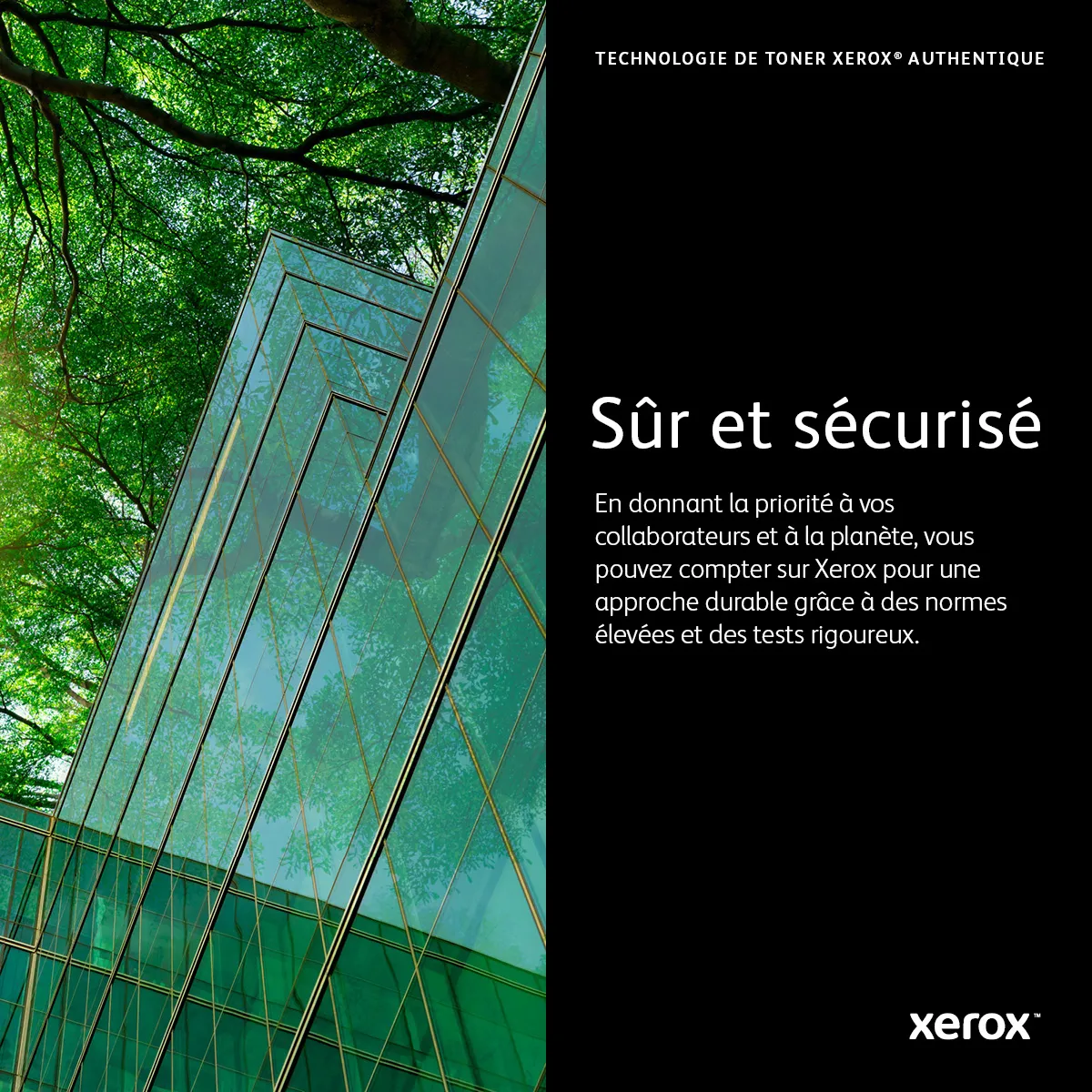 Vente Cartouche de toner Noir de Grande capacité Xerox Xerox au meilleur prix - visuel 8