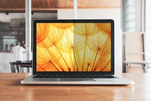 Filtre de confidentialité de l'écran lumineux pour Apple® MacBook Pro® 16 2019, 16:10, BPNAP004 - 3M - Protection d'écran et Filtre - visuel 5